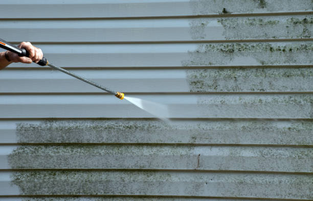 Best Fence Cleaning  in Toledo, IA